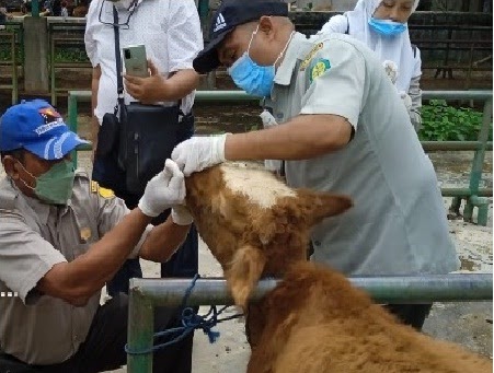 KEWASPADAAN PENYAKIT MENULAR AGAR BERKURBAN&nbsp;AMAN