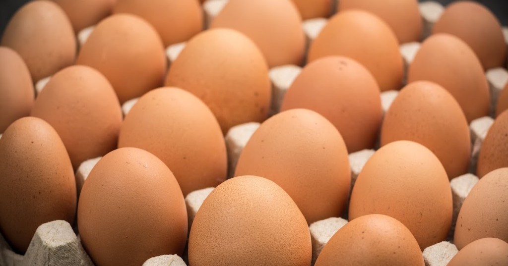 RUSIA MEMBANGGAKAN KEBERHASILANNYA DALAM MENGGANTIKAN IMPOR TELUR&nbsp;TETAS