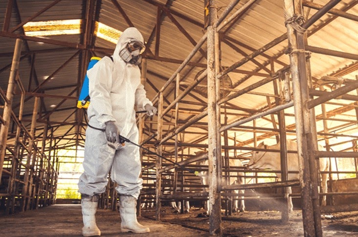 MENGENAL LEBIH DALAM DISINFEKSI KANDANG, BAGIAN PENTING&nbsp;BIOSEKURITI