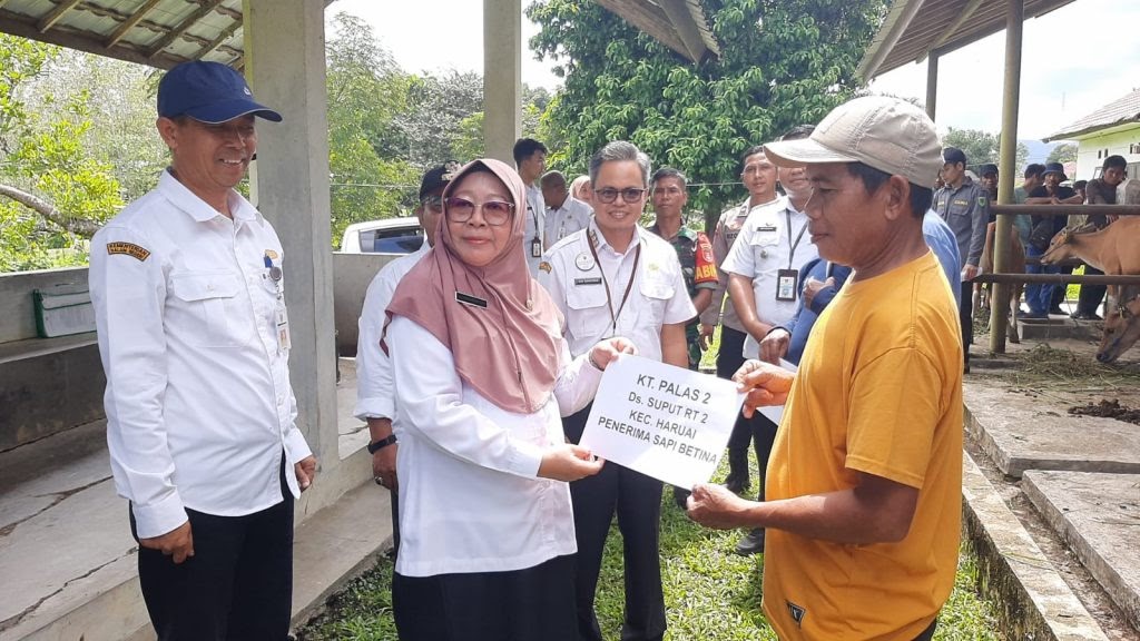 DISBUNNAK KALSEL SALURKAN BANTUAN TERNAK&nbsp;SAPI