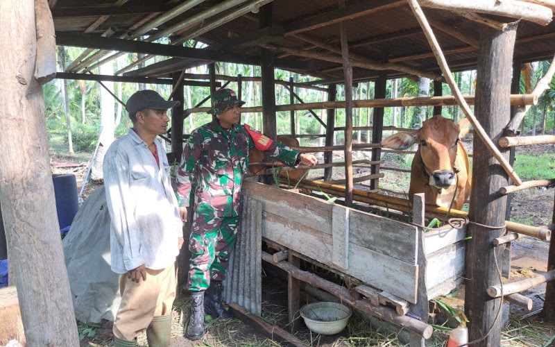BABINSA BUKIT DATUK SOSIALISASIKAN PMK KE&nbsp;PETERNAK
