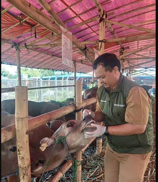 RATUSAN HEWAN KURBAN DI DEPOK DIAWASI JELANG IDUL&nbsp;ADHA