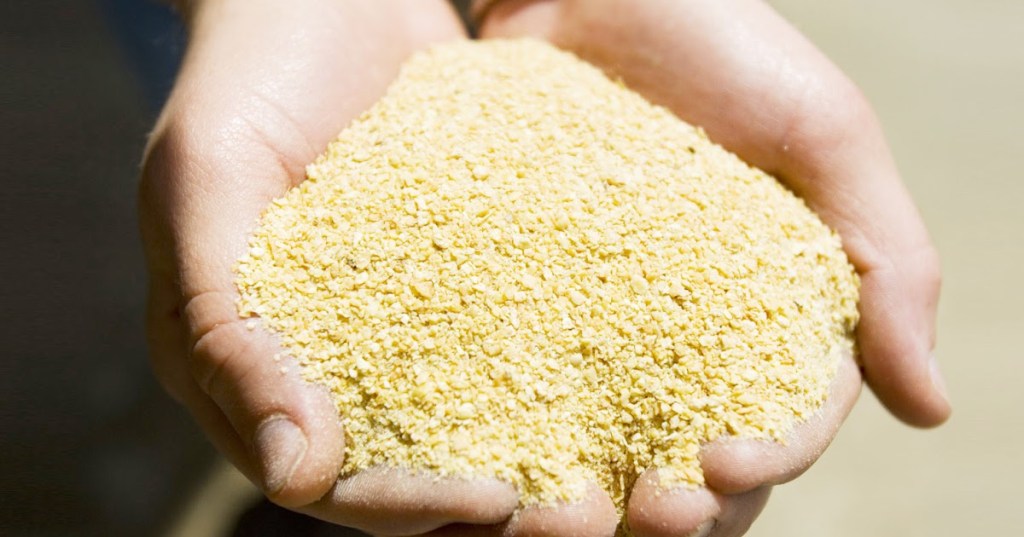 MENGOPTIMALKAN PENGGUNAAN ENZIM PADA&nbsp;PAKAN