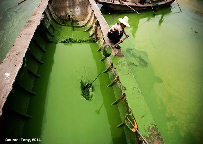 AIR: UNSUR HAYATI AYAM&nbsp;MODERN