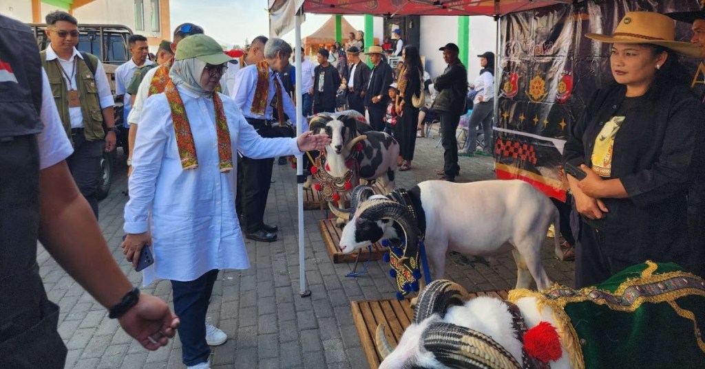 LASATO FEST, UPAYA TINGKATKAN DAYA SAING SEKTOR PETERNAKAN&nbsp;LOKAL