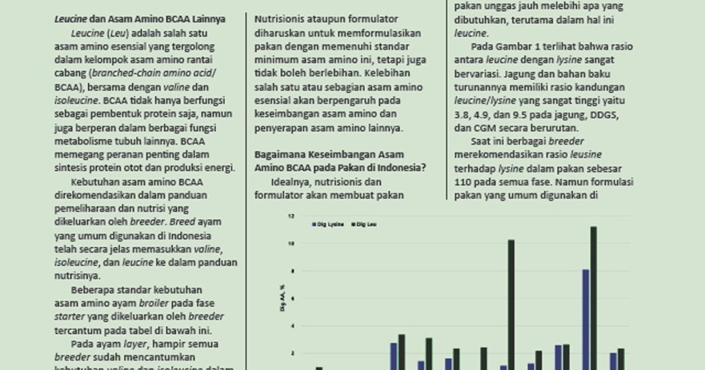 LEUCINE, ASAM AMINO ESENSIAL YANG&nbsp;TERABAIKAN