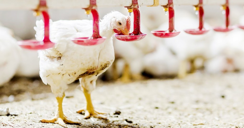 AIR MINUM BERKUALITAS MENUNJANG&nbsp;PRODUKTIVITAS