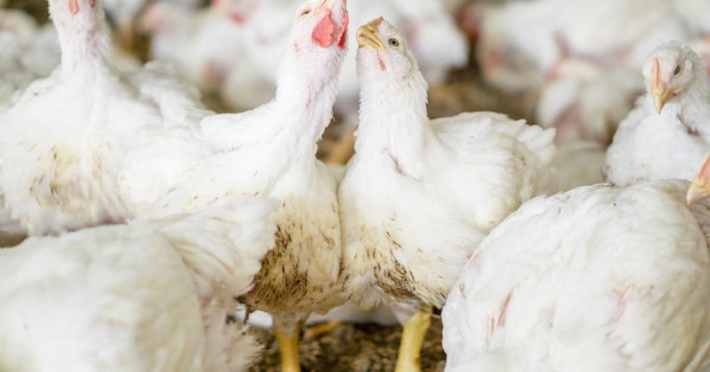 PENTINGNYA MENJAGA KUALITAS AIR&nbsp;MINUM