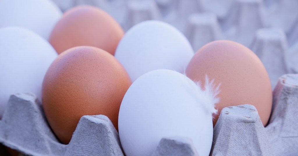 PETERNAK INGGRIS DIMINTA UNTUK MENGOMENTARI STANDAR AYAM&nbsp;PETELUR